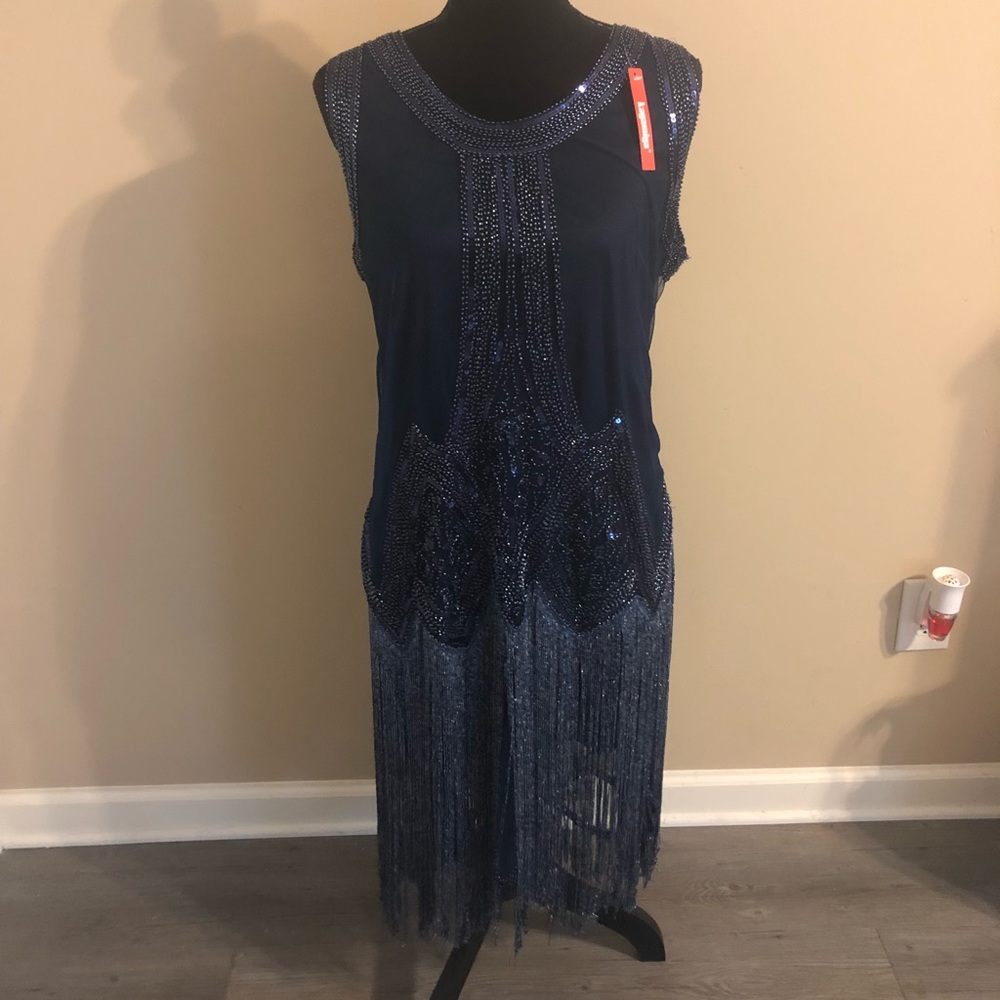 Never Worn Flapper Dress